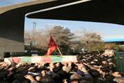 گزارش تصویری از ورود کاروان شهدای گمنام به دانشگاه تهران و علوم پزشکی 